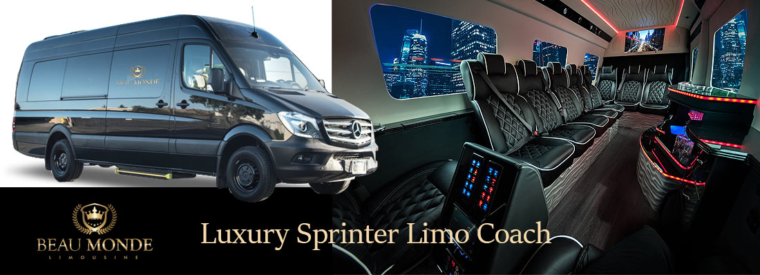 Luxury sprinter limo coach chauffeur services