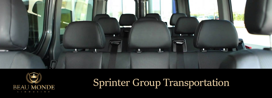 Private Sprinter Shuttle Services