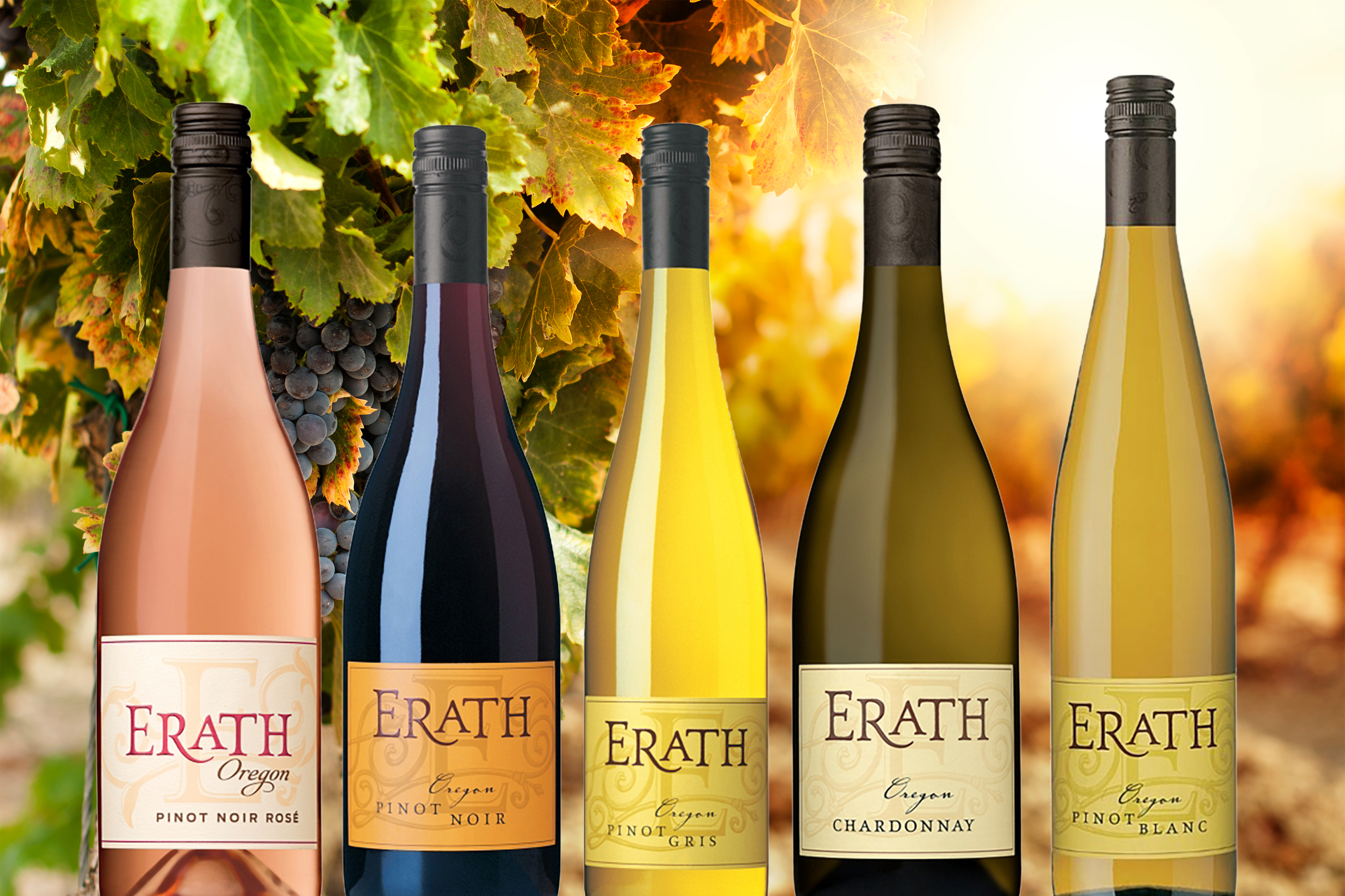 Erath Winery Tasting Room Willamette Valley wine tour and wine tasting